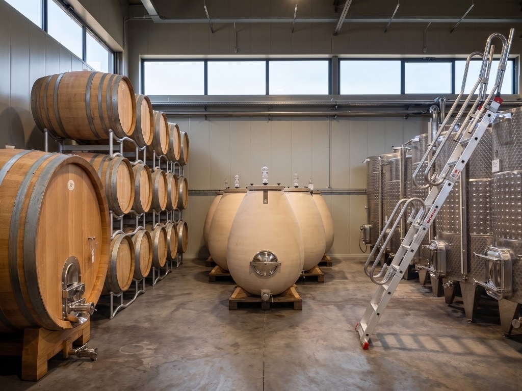 La vinificazione a Poggio alle Forche — botti, anfore e vasche in acciaio in cantina